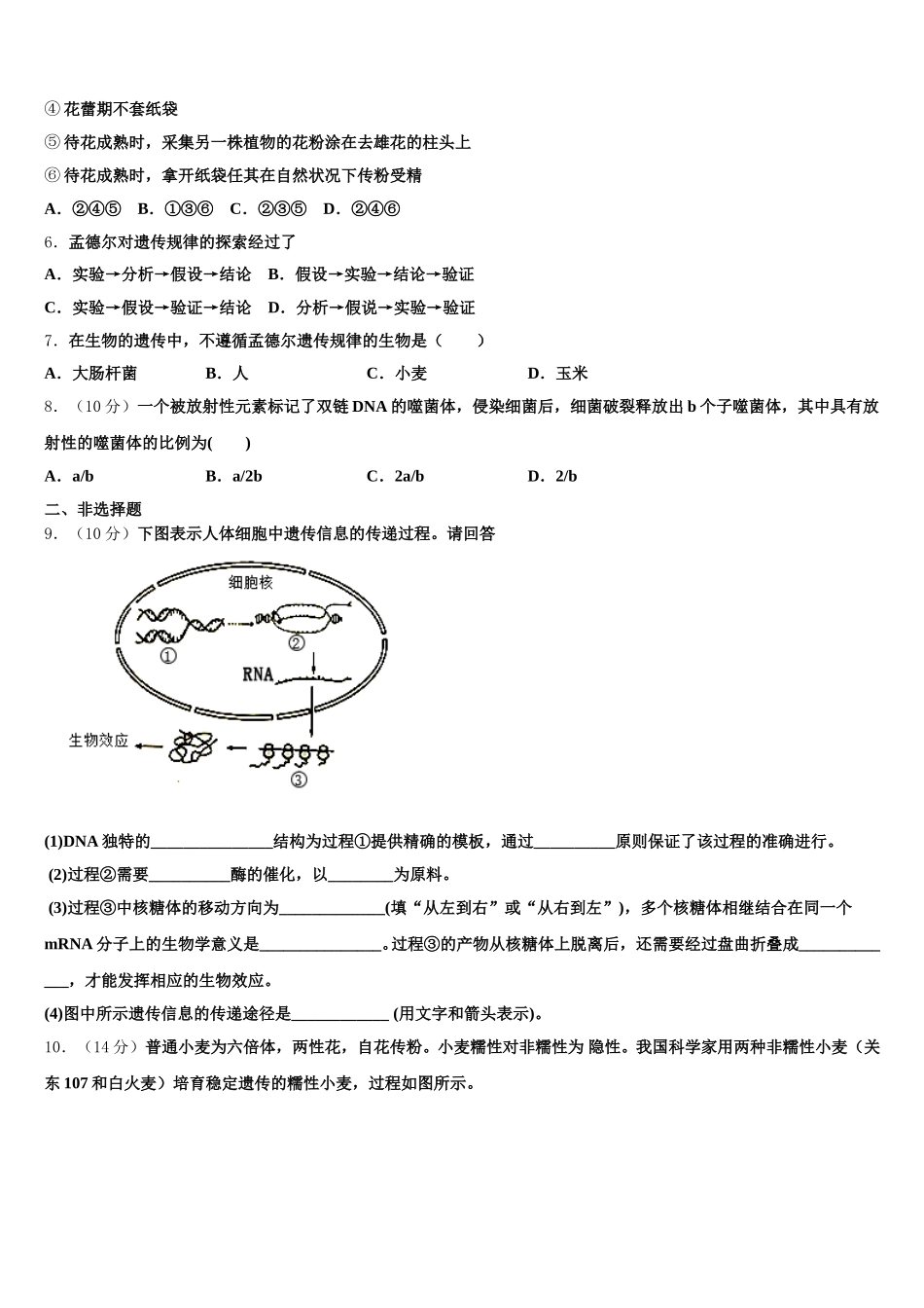 陕西省汉滨区恒口高级中学2025年生物高一下期末检测试题含解析_第2页