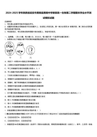 2024-2025学年陕西省延安市黄陵县黄陵中学新部高一生物第二学期期末学业水平测试模拟试题含解析
