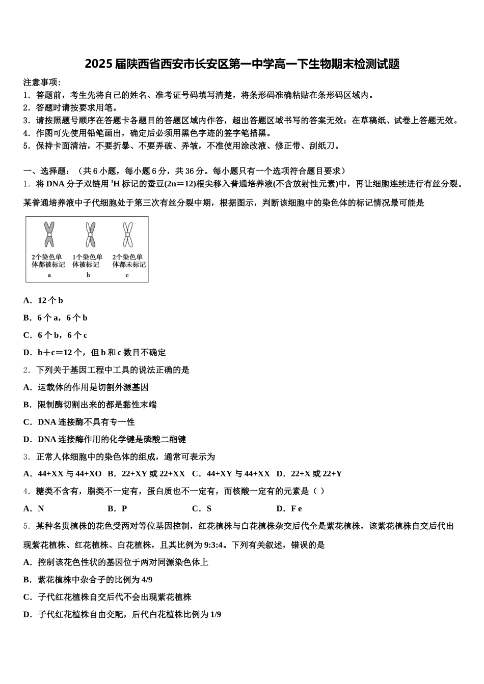 2025届陕西省西安市长安区第一中学高一下生物期末检测试题含解析_第1页
