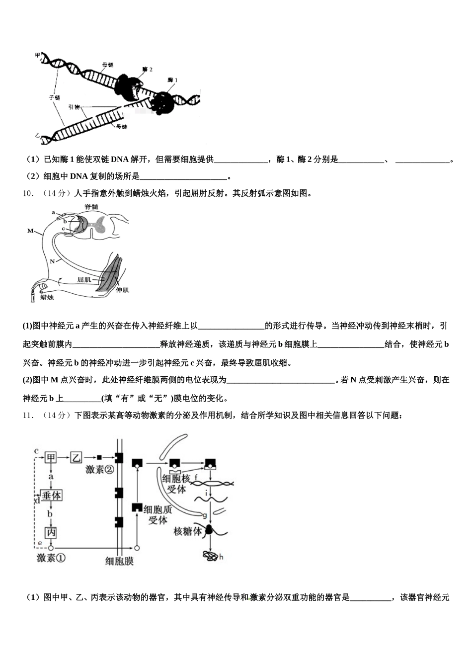 陕西省西安市电子科技大学附属中学2025届高一下生物期末考试模拟试题含解析_第3页