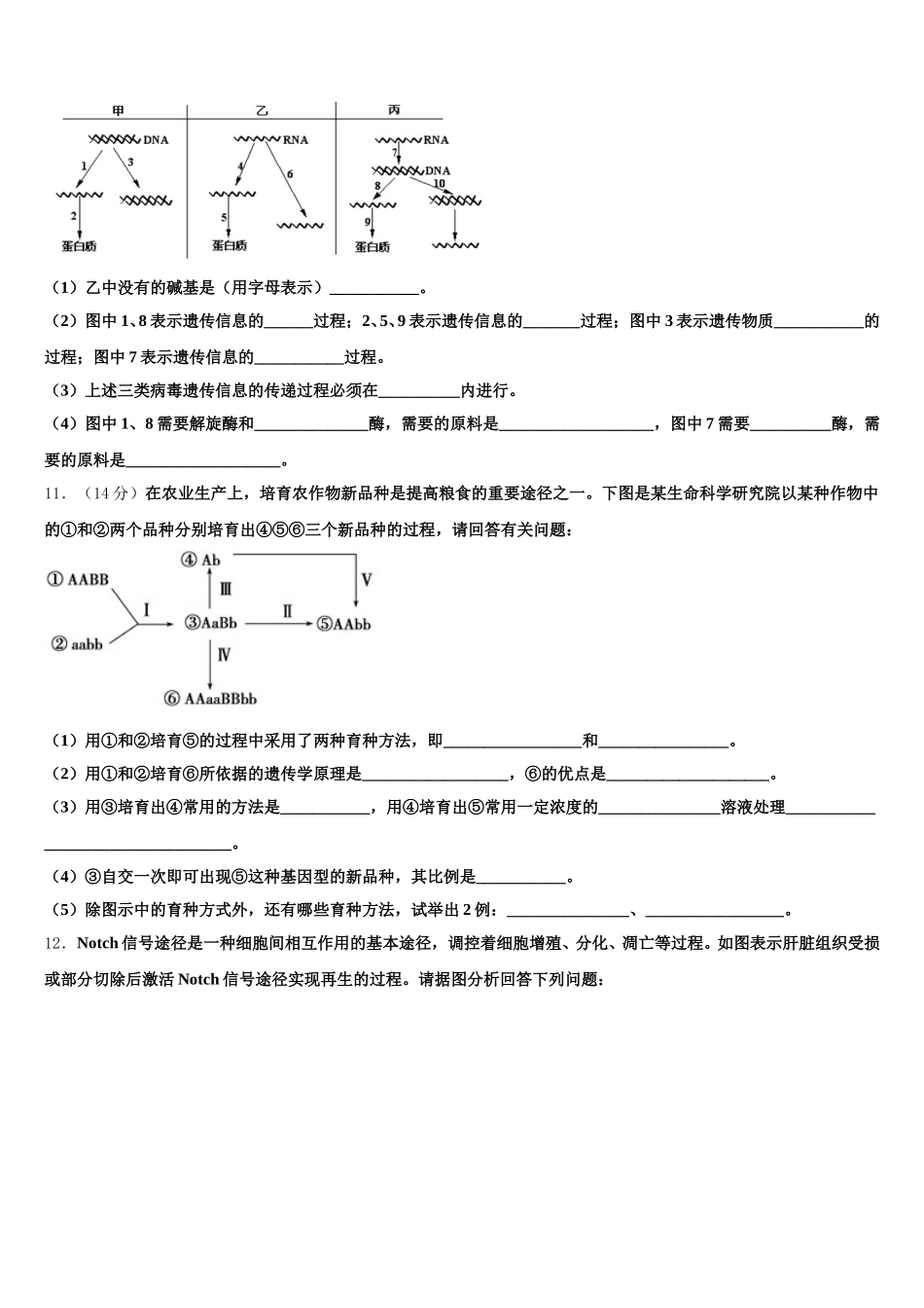 2025届陕西省铜川市生物高一下期末质量检测模拟试题含解析_第3页