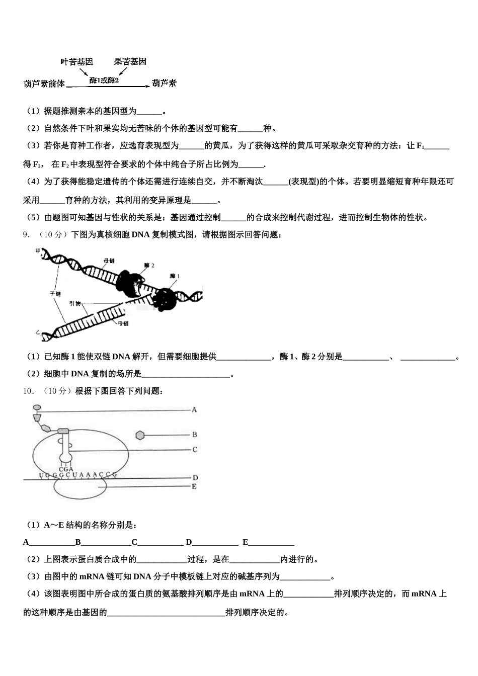 陕西省渭南高级中学2024-2025学年高一下生物期末调研模拟试题含解析_第3页