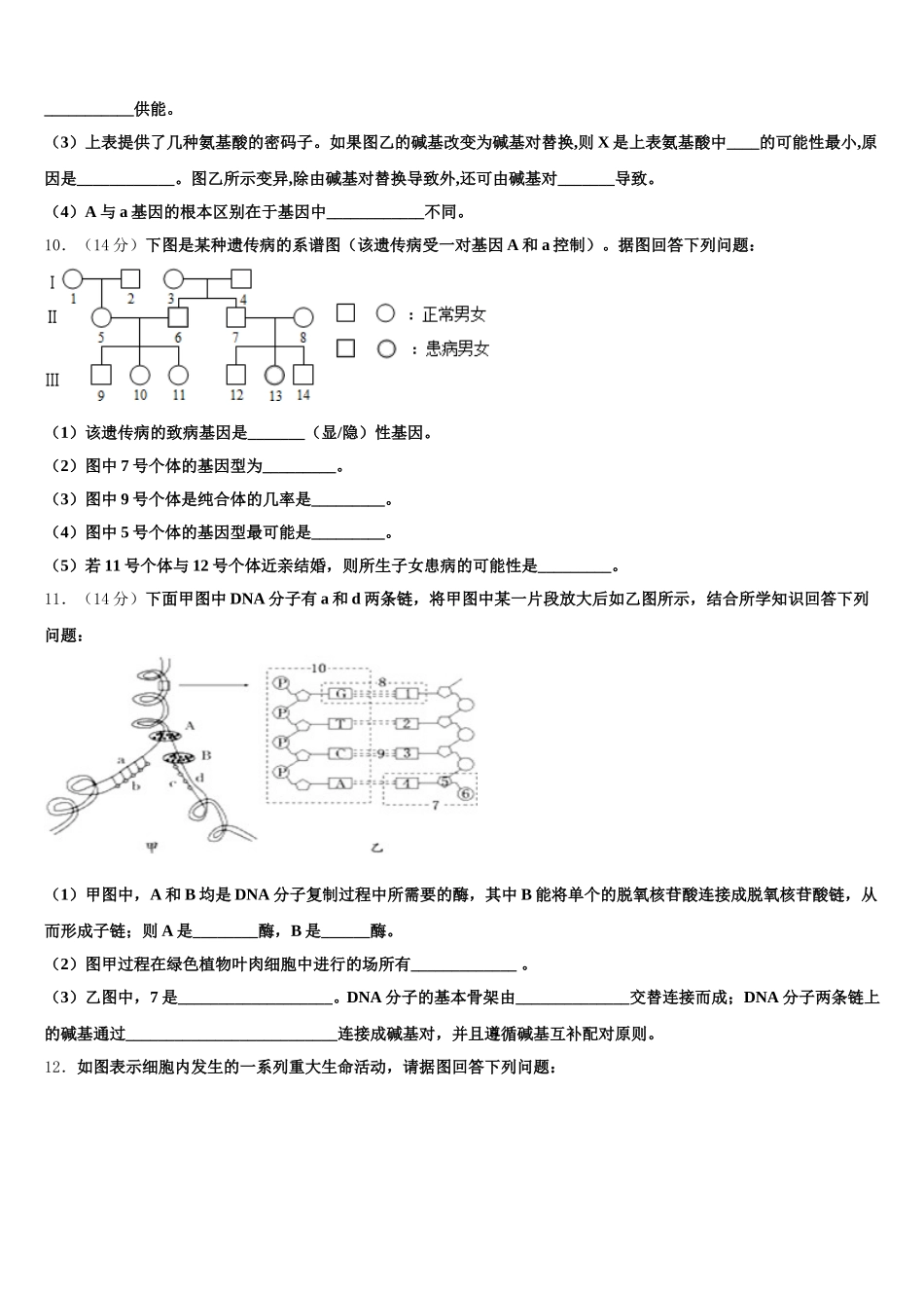 陕西省西安市长安区一中2024-2025学年高一下生物期末教学质量检测试题含解析_第3页