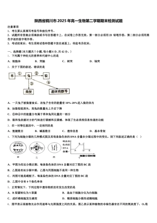 陕西省铜川市2025年高一生物第二学期期末检测试题含解析