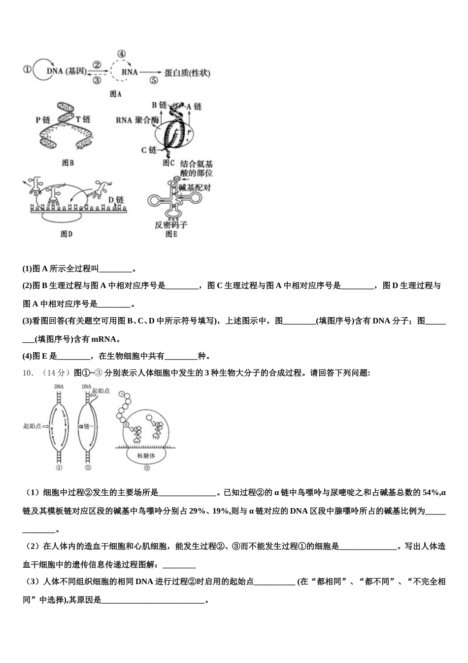 陕西省延安市黄陵县黄陵中学本部2025届生物高一下期末达标检测试题含解析_第3页