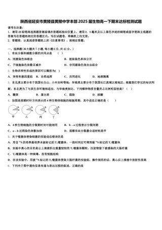 陕西省延安市黄陵县黄陵中学本部2025届生物高一下期末达标检测试题含解析
