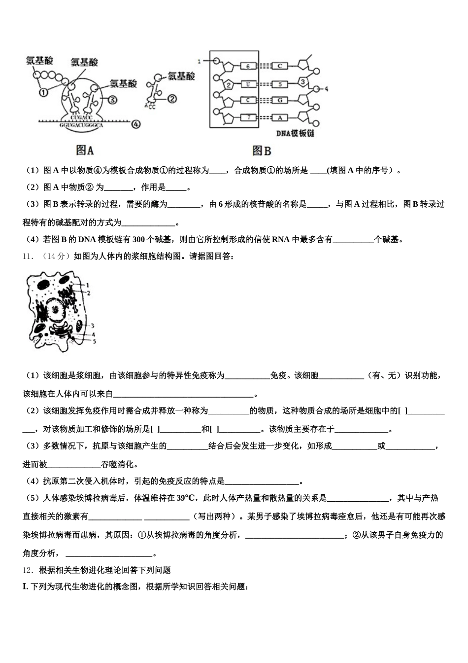 陕西省延安市黄陵县黄陵中学本部2024-2025学年高一生物第二学期期末综合测试模拟试题含解析_第3页