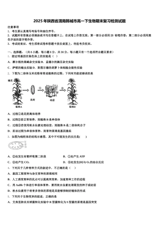 2025年陕西省渭南韩城市高一下生物期末复习检测试题含解析