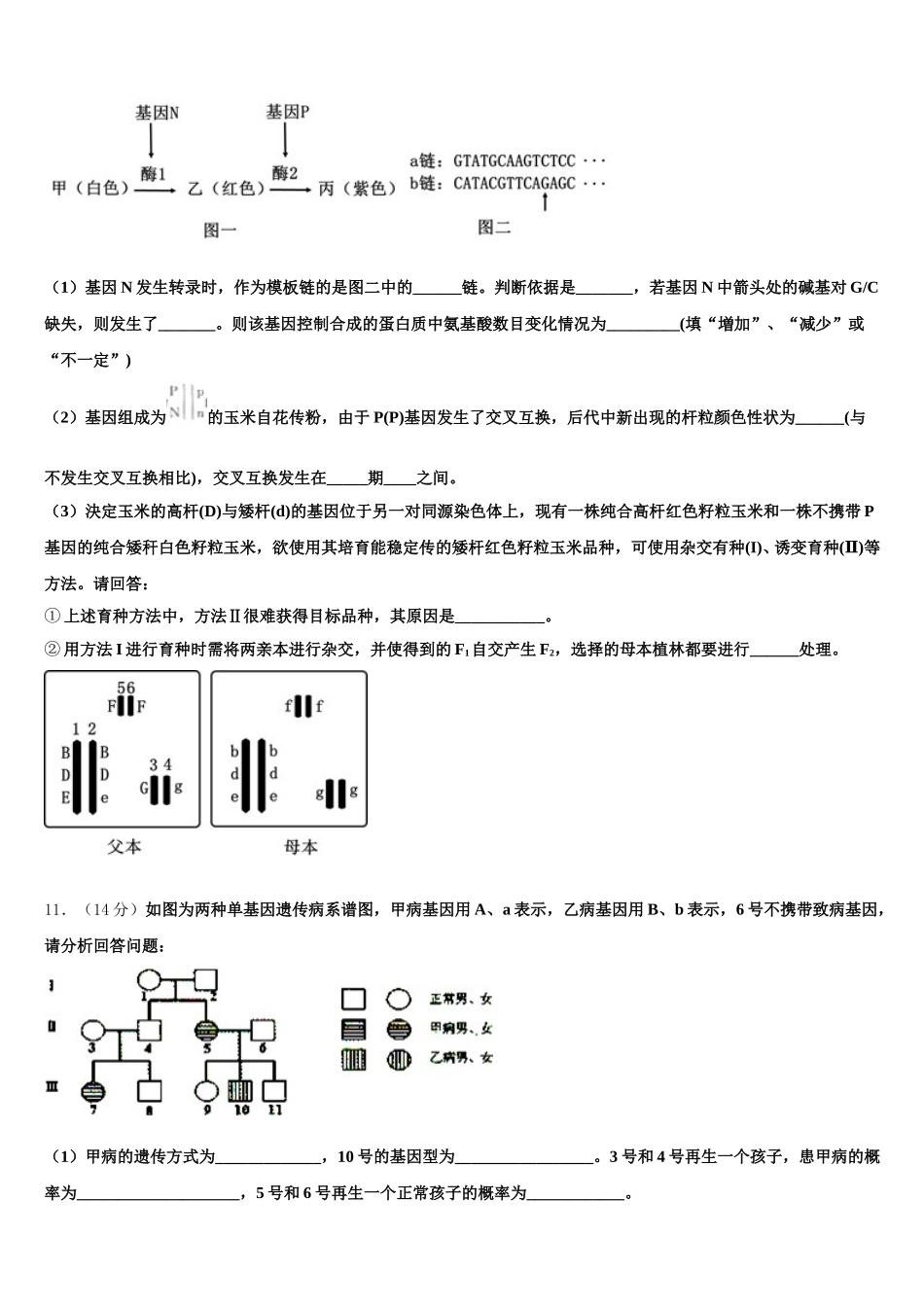 陕西省商洛市丹凤县丹凤中学2025年生物高一第二学期期末学业质量监测模拟试题含解析_第3页