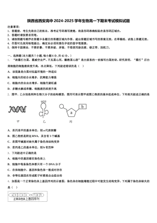 陕西省西安高中2024-2025学年生物高一下期末考试模拟试题含解析