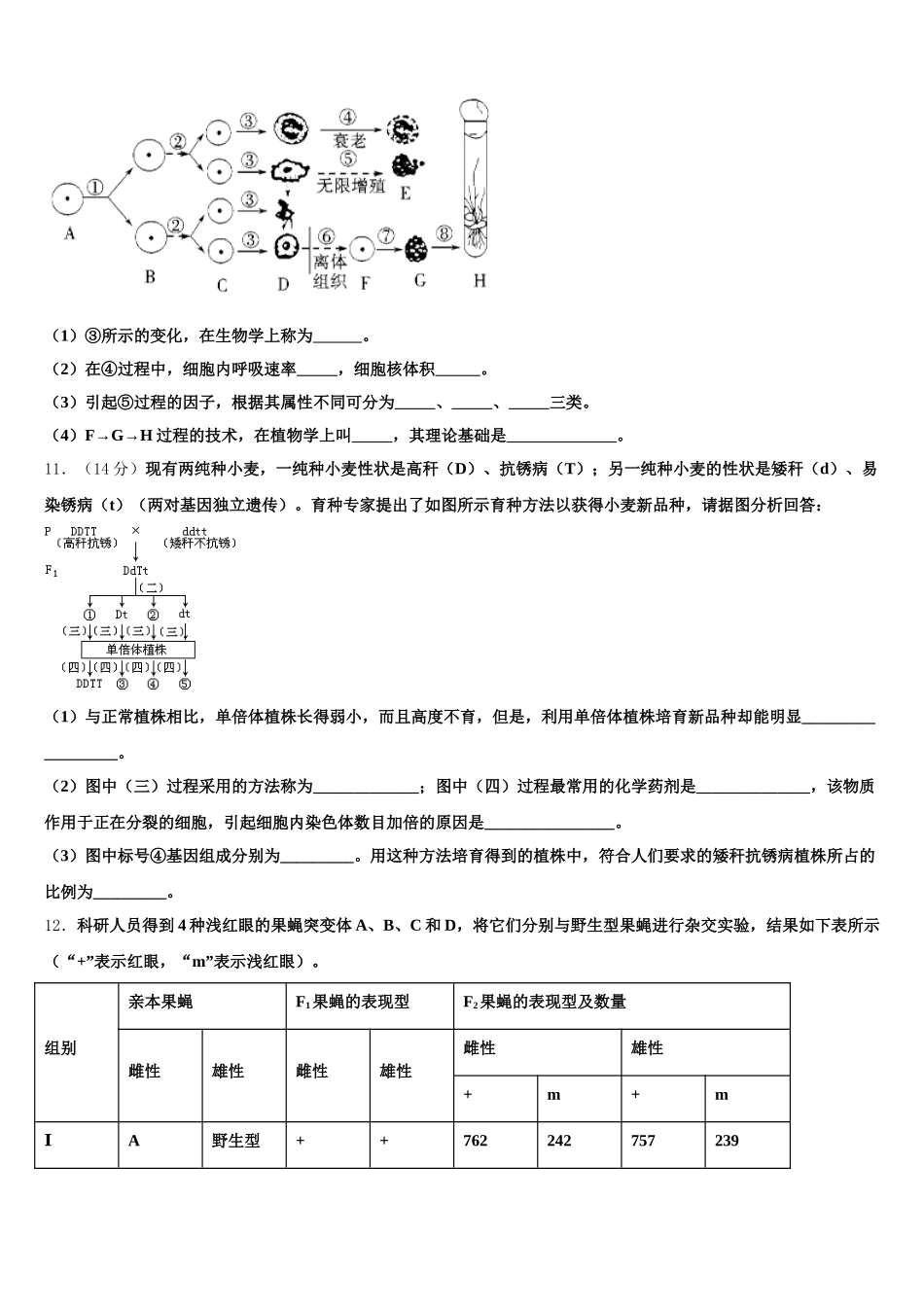 2025年陕西省恒口高级中学高一生物第二学期期末调研模拟试题含解析_第3页