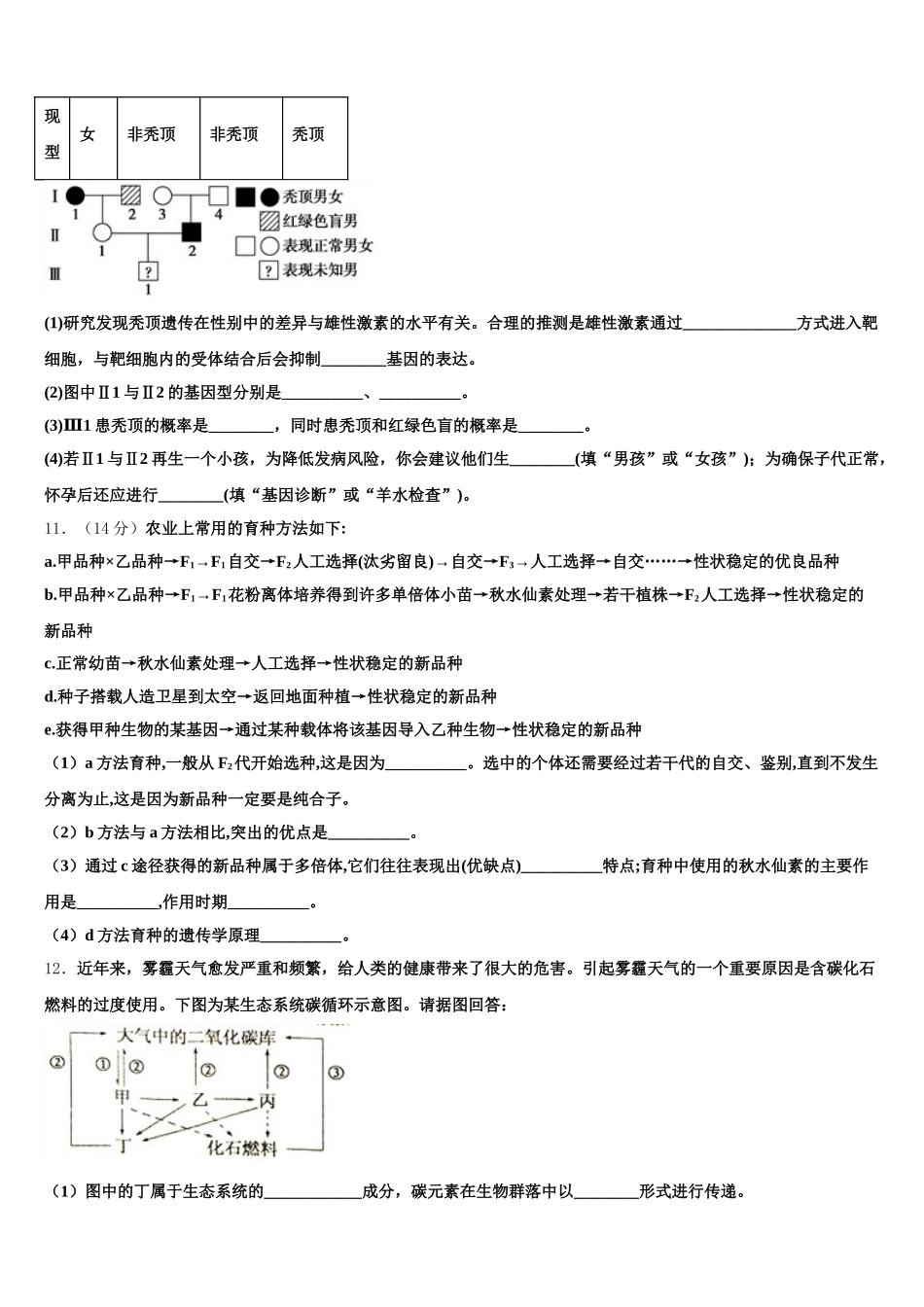 2024-2025学年陕西省商洛市洛南县高一下生物期末复习检测试题含解析_第3页