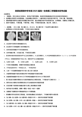 陕西省黄陵中学本部2025届高一生物第二学期期末统考试题含解析