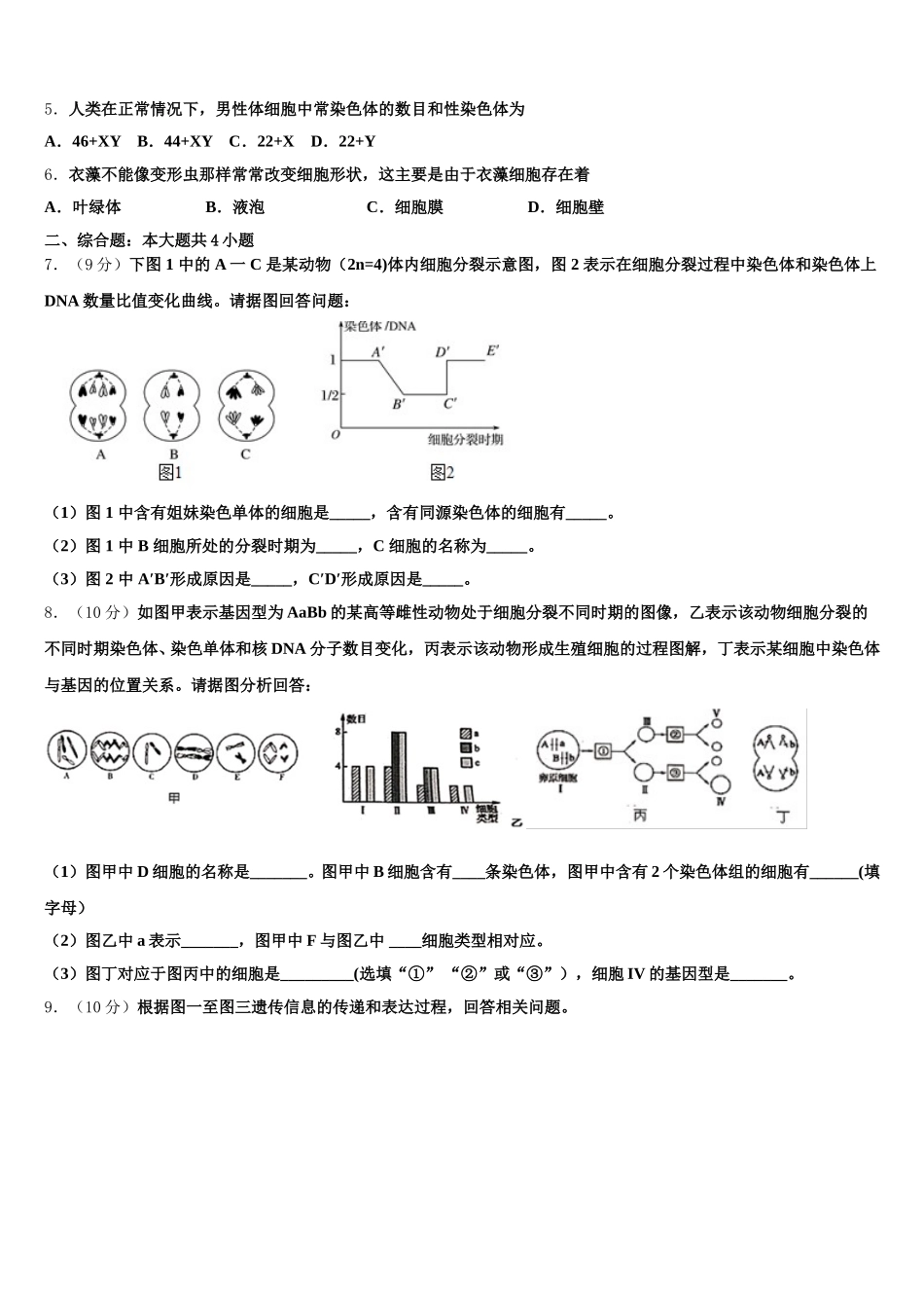 陕西省合阳县黑池中学2025年高一下生物期末复习检测模拟试题含解析_第2页