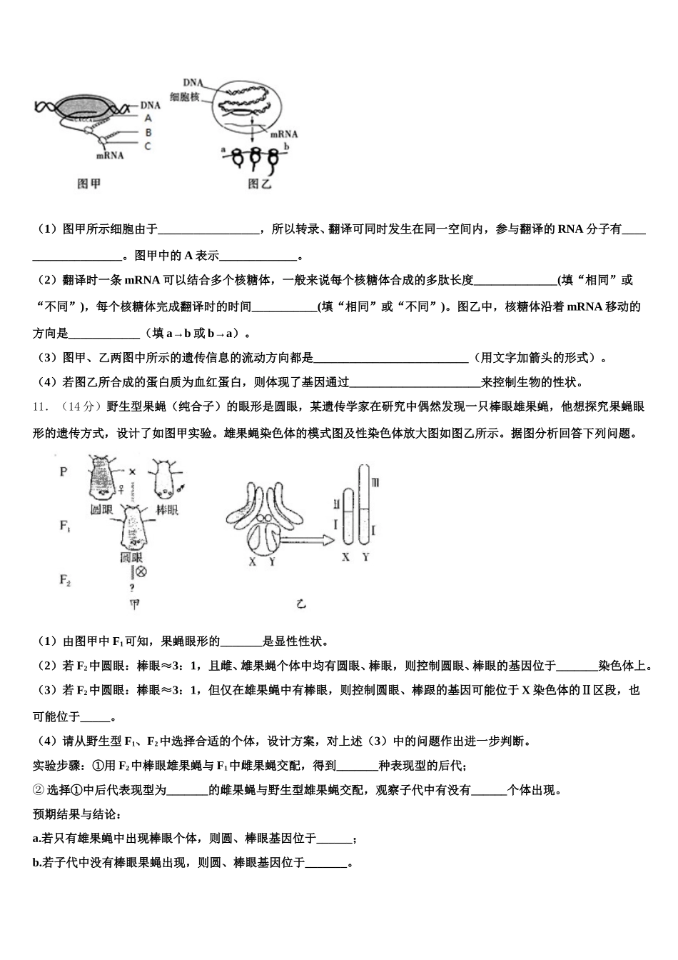 陕西省商洛市洛南县2024-2025学年生物高一第二学期期末教学质量检测模拟试题含解析_第3页