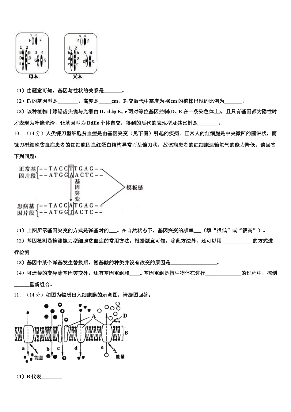 陕西省咸阳市百灵中学2025届高一生物第二学期期末监测模拟试题含解析_第3页