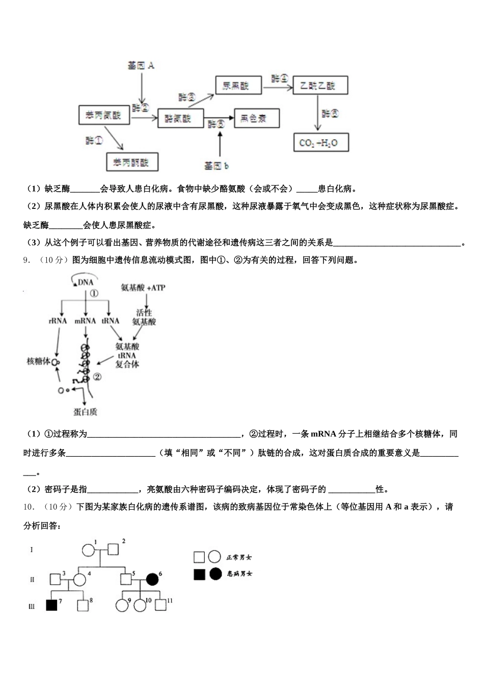 陕西省西安市交大附中2025年高一下生物期末综合测试模拟试题含解析_第3页
