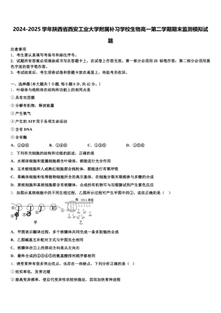 2024-2025学年陕西省西安工业大学附属补习学校生物高一第二学期期末监测模拟试题含解析