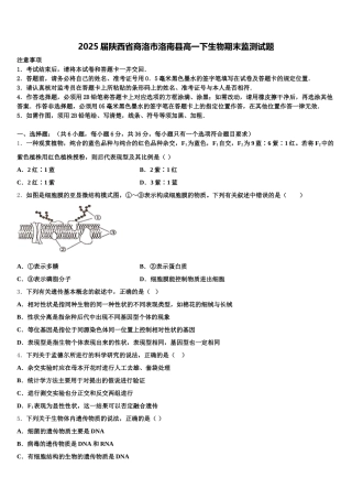2025届陕西省商洛市洛南县高一下生物期末监测试题含解析