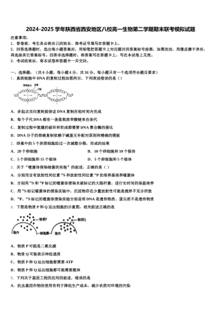2024-2025学年陕西省西安地区八校高一生物第二学期期末联考模拟试题含解析