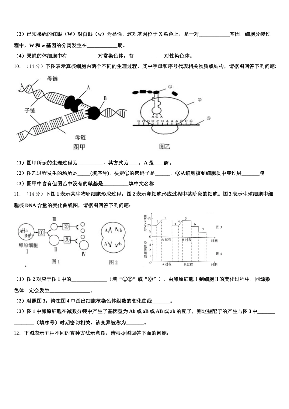 陕西省吴起高级中学2024-2025学年生物高一下期末质量检测试题含解析_第3页
