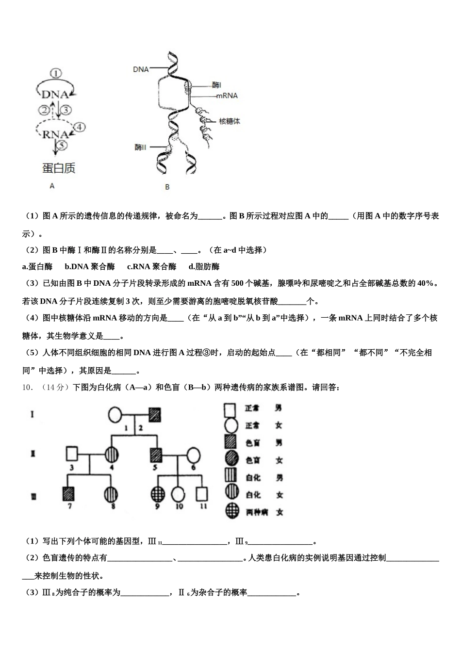 陕西省咸阳市旬邑中学、彬州市阳光中学 、彬州中学2025届生物高一下期末综合测试试题含解析_第3页