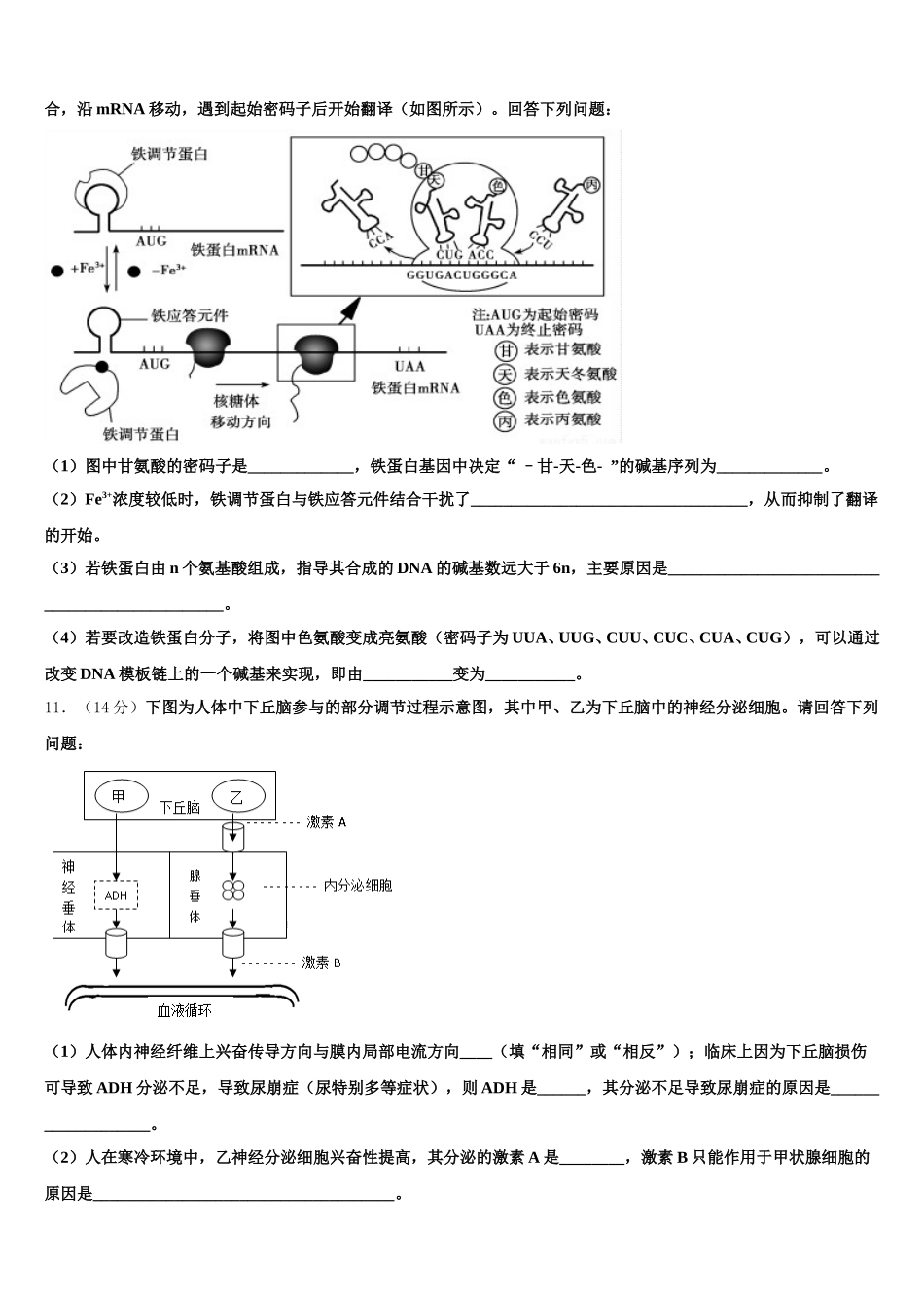 2024-2025学年陕西宝鸡眉县中学高一生物第二学期期末学业水平测试模拟试题含解析_第3页