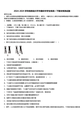 2024-2025学年陕西省兴平市秦岭中学生物高一下期末预测试题含解析
