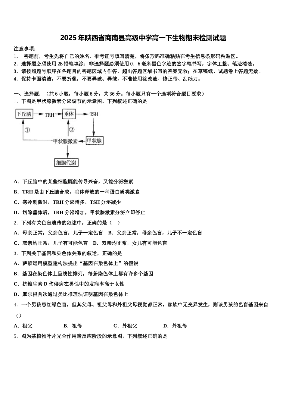 2025年陕西省商南县高级中学高一下生物期末检测试题含解析_第1页