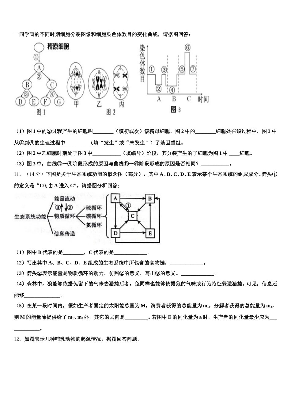 2025年陕西省西安市铁一中生物高一下期末检测试题含解析_第3页