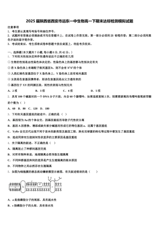 2025届陕西省西安市远东一中生物高一下期末达标检测模拟试题含解析