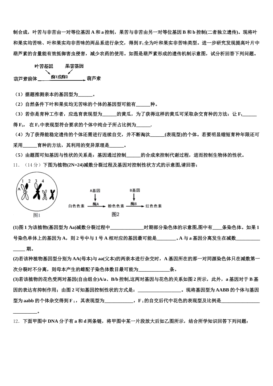 2025年陕西省西安市第46中学高一下生物期末监测试题含解析_第3页