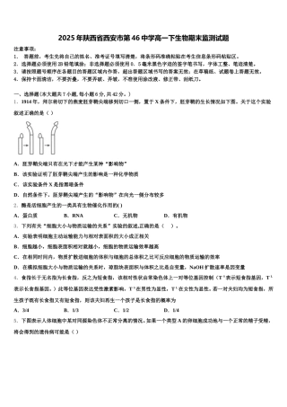 2025年陕西省西安市第46中学高一下生物期末监测试题含解析