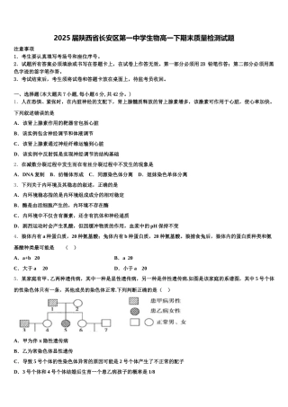 2025届陕西省长安区第一中学生物高一下期末质量检测试题含解析