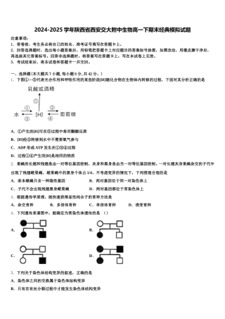 2024-2025学年陕西省西安交大附中生物高一下期末经典模拟试题含解析