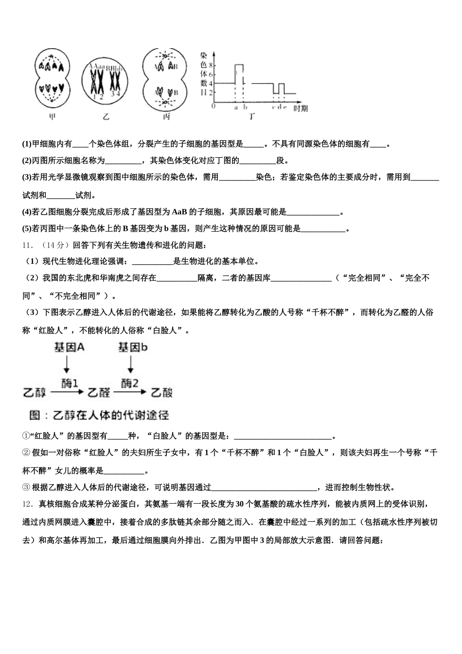 2025届陕西省宝鸡市眉县生物高一下期末质量检测试题含解析_第3页