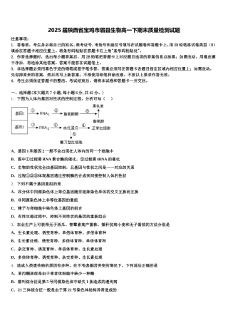 2025届陕西省宝鸡市眉县生物高一下期末质量检测试题含解析