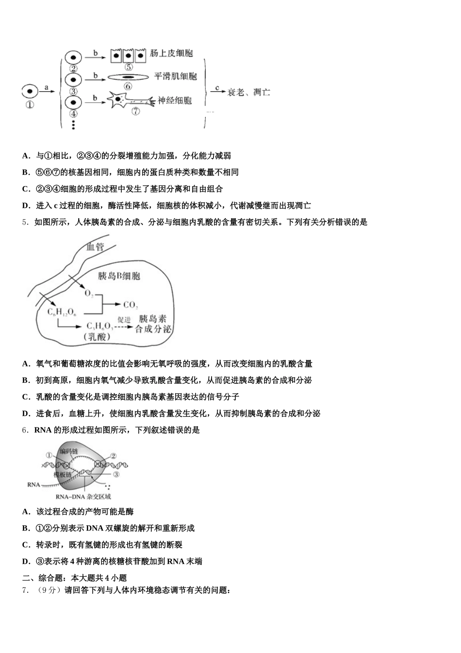 2025年陕西省西安电子科技大学附中生物高一下期末复习检测试题含解析_第2页
