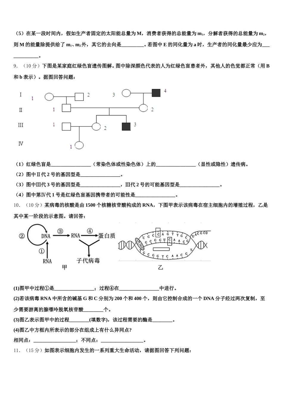 陕西省延安市吴起县高级中学2025年高一下生物期末质量跟踪监视试题含解析_第3页