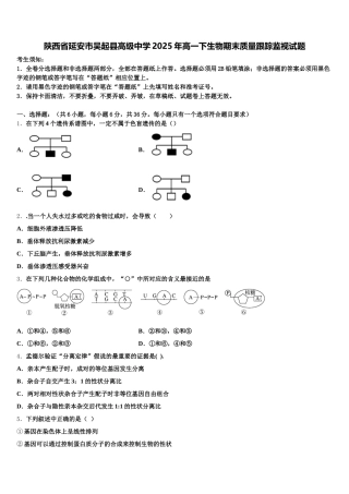 陕西省延安市吴起县高级中学2025年高一下生物期末质量跟踪监视试题含解析
