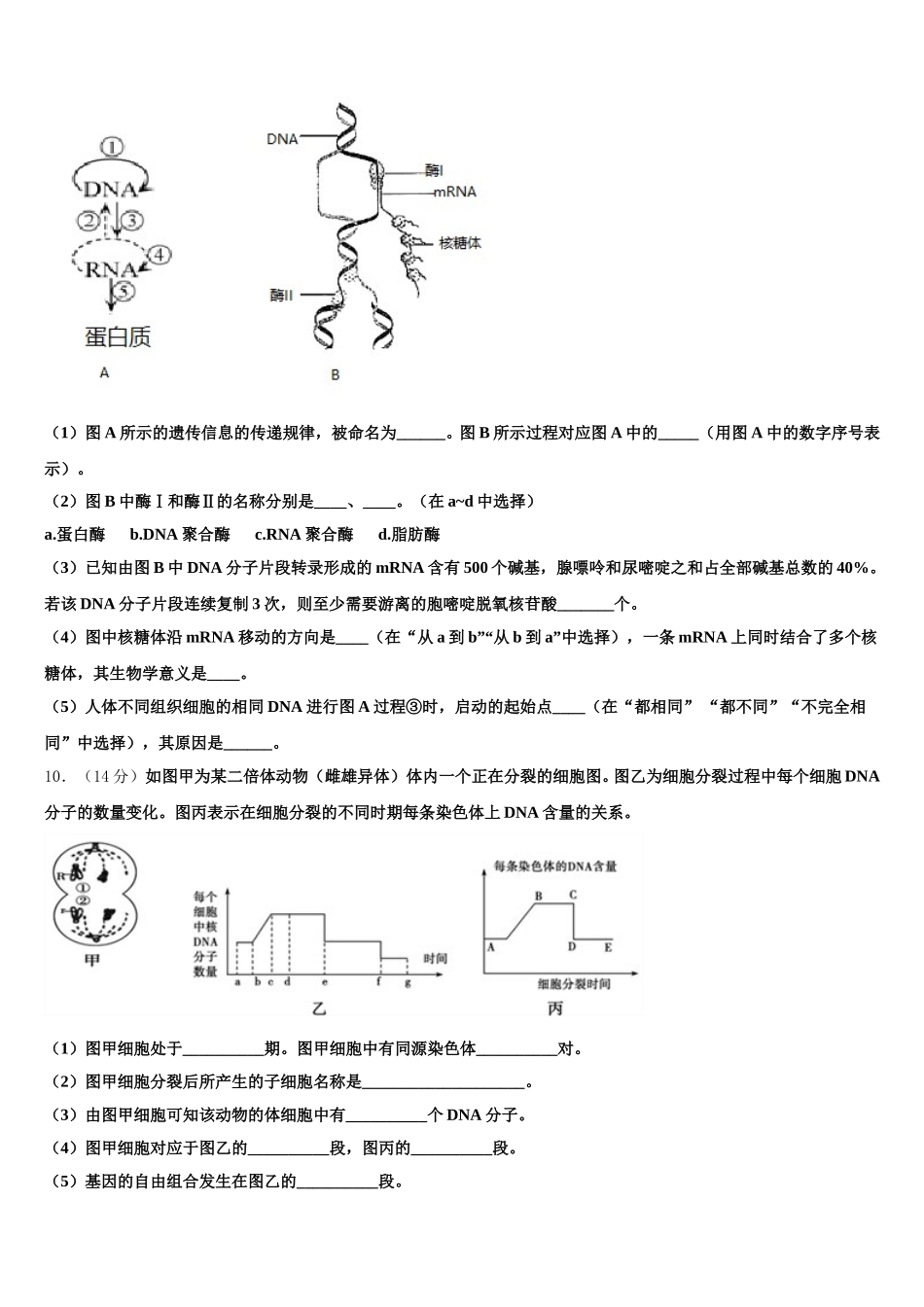 安康市重点中学2025年高一下生物期末联考模拟试题含解析_第3页