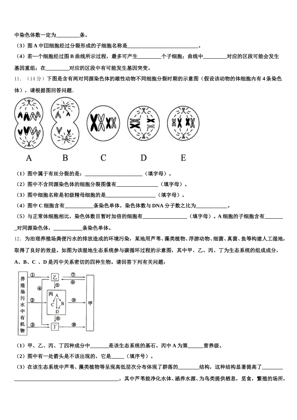 陕西省白水中学2025届生物高一下期末综合测试模拟试题含解析_第3页