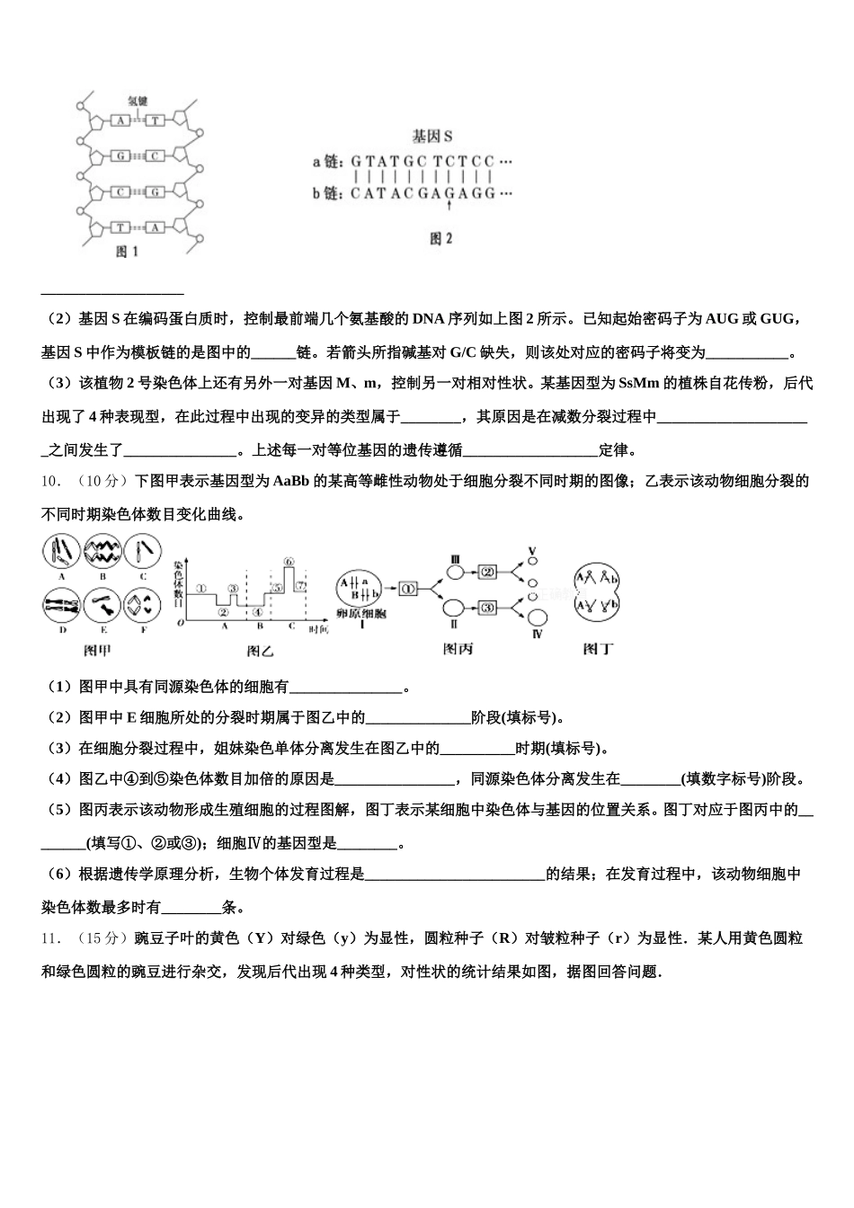 2025届陕西省旬阳中学生物高一下期末考试模拟试题含解析_第3页