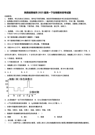 陕西省韩城市2025届高一下生物期末统考试题含解析