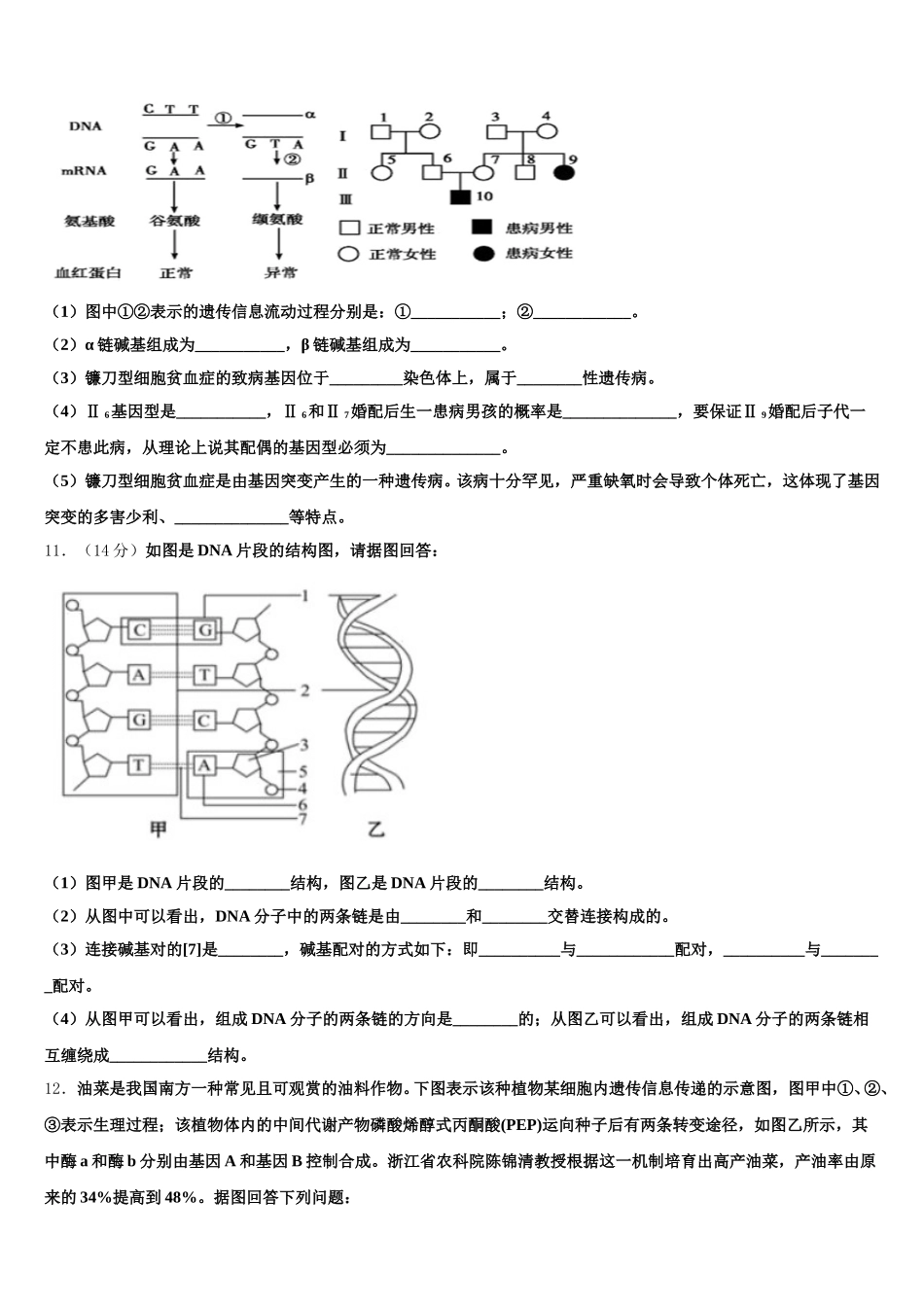 2025届陕西省延安市实验中学高一生物第二学期期末联考试题含解析_第3页
