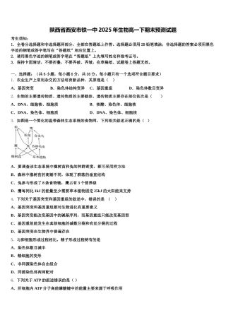 陕西省西安市铁一中2025年生物高一下期末预测试题含解析