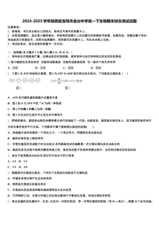 2024-2025学年陕西省宝鸡市金台中学高一下生物期末综合测试试题含解析