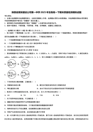 陕西省煤炭建设公司第一中学2025年生物高一下期末质量检测模拟试题含解析