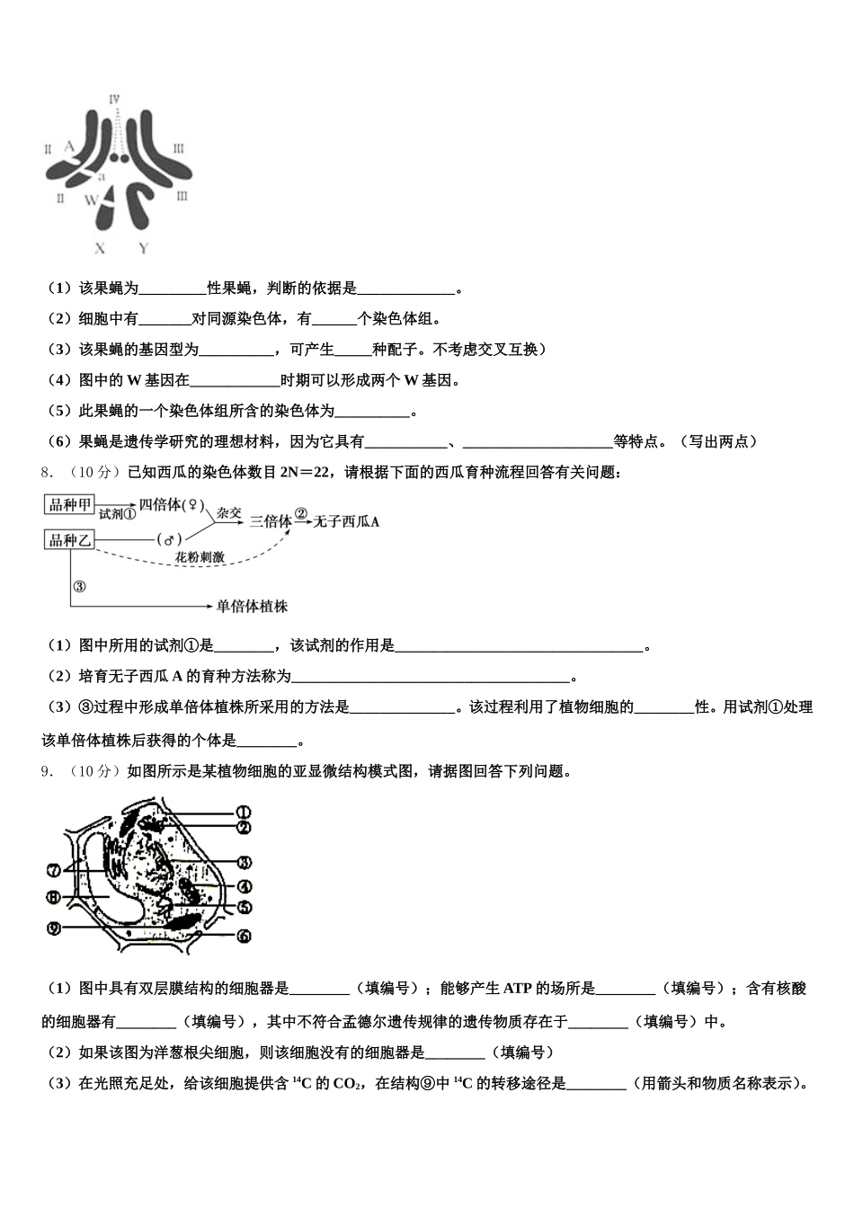 陕西省黄陵县黄陵中学新部2025年生物高一下期末质量跟踪监视模拟试题含解析_第2页