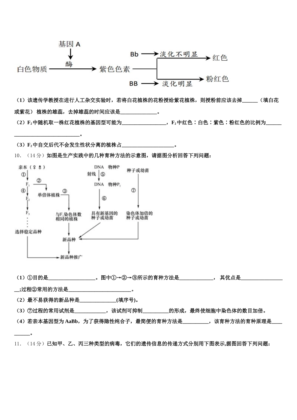 2025届西安市第二十六中学高一生物第二学期期末达标测试试题含解析_第3页